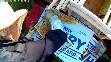 Prepping frames for comb transfer with rubber bands
