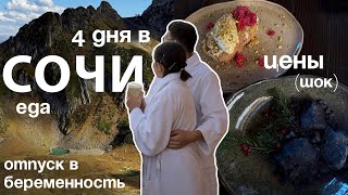 видео: Улетели в горы 🏔️ Красная поляна и Роза хутор | бассейн в горах | лучшие заведения, места и цены картинка: Улетели в горы 🏔️ Красная поляна и Роза хутор | бассейн в горах | лучшие заведения, места и цены
