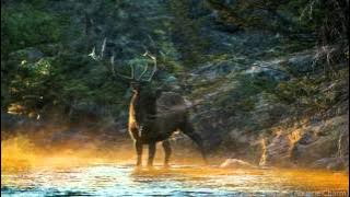 MAYBE ~ Thom Pace ~ Grizzly Adams Theme Song