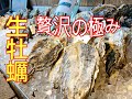 【生牡蠣食べ放題！】牡蠣料理を大食い！広島、佐賀、長崎の超でかい牡蠣を紹介！