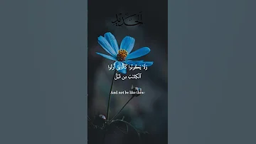 Allah Forgive Our Sins Ameen Allah Quran Allahloves Recitation Recitationofquran Qurantilawat 