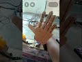 the s arm