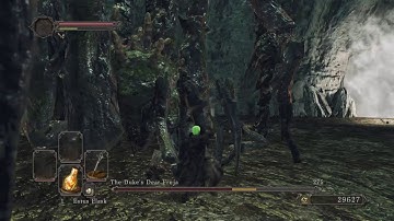 SL1 No rolling/sprinting/blocking/parrying Duke