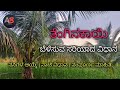 how to grow healthy coconut tree | ತೆಂಗಿನ ಕಾಯಿ ಬೆಳೆಯುವ ಸೂಕ್ತ ವಿಧಾನ |