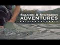 Salmon &amp; Sturgeon Fishing British Columbia