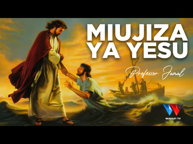 The Story Book: Ukweli wa Maajabu Ya Miujiza Ya Yesu ! (All Jesus Miracles in Swahili) class=