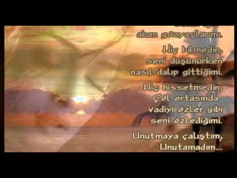 Ali Arslan - Adini Yalanci Koydum