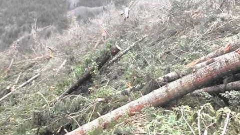 Link-Belt LS98TL Yarder