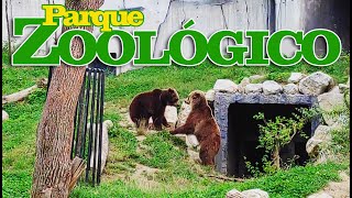 MAKSIMIR ZOO: Primera vez en un Zoológico europeo!