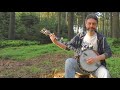 Somerset  by bla fleck   played by steve louvat