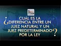 Juez Natural y Juez Predeterminado por la Ley - TTR # 244