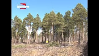 Новый храм в Пыть-Яхе Новый храм в Пыть-Яхе