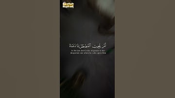 أمن يجيب المضطر إذا دعاه #سورة_النمل #ياسر_الدوسري #trend #trending #اكسبلور #explore #قرآن #quran