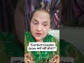 “Content Creator Grow क्यों नहीं होता?”