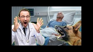 Un perro impidió que a su dueño le desconectaran del soporte vital ¡La razón te dejará sin palabras! by Maravillas del Mundo 3,090 views 1 year ago 8 minutes, 1 second