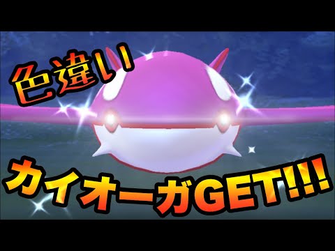 【ポケモンGO】色違いカイオーガGETたぜ!!!! ㅤㅤㅤㅤㅤㅤㅤㅤ ㅤㅤㅤㅤㅤㅤㅤㅤ  PokemonGoshiny