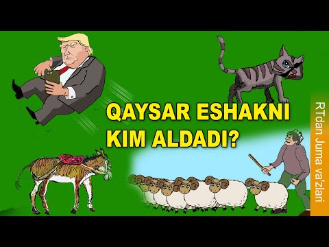 Video: Qaysar Kim?