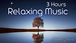 [3 Hours]  Relaxing Sleep Music with Viola and Piano -  Meditation Music, Stress Relief, Soothing screenshot 3