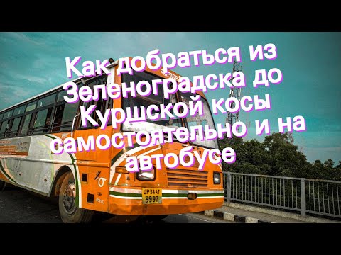 Как добраться из Зеленоградска до Куршской косы самостоятельно и на автобусе