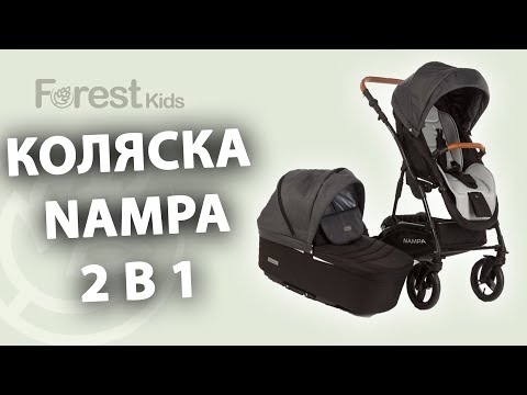 Обзор Коляски Forest kids Nampa 2 в 1. Практичность и комфорт