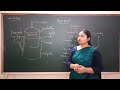 Microbes in human welfare class 12 Biogas plant