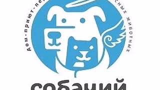 Dogs Angel. Такого ТЫ ЕЩЁ НЕ Видел! Приют альтернативного содержания для собак.стариков и инвалидов. Dogs Angel. Такого ТЫ ЕЩЁ НЕ Видел! Приют альтернативного содержания для собак.стариков и инвалидов.