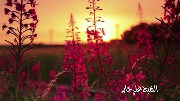 ما تيسر من سورة النساء - الشيخ علي جابر رحمه الله