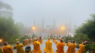 NIKAYA Thiền Quán - Tâm Ơi ! Nói Tâm Nghe 2