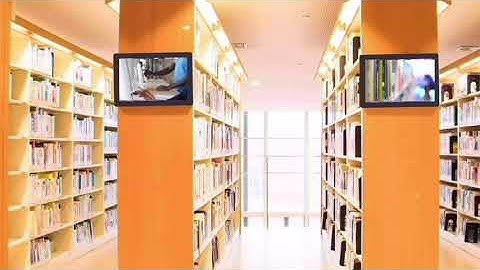 WF1022T/WF1023T 10.1