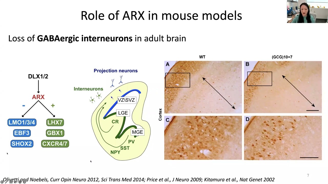 Autism Consortium of Texas: Stem Cell Approaches to Understand Acquired and Genetic Epilepsies