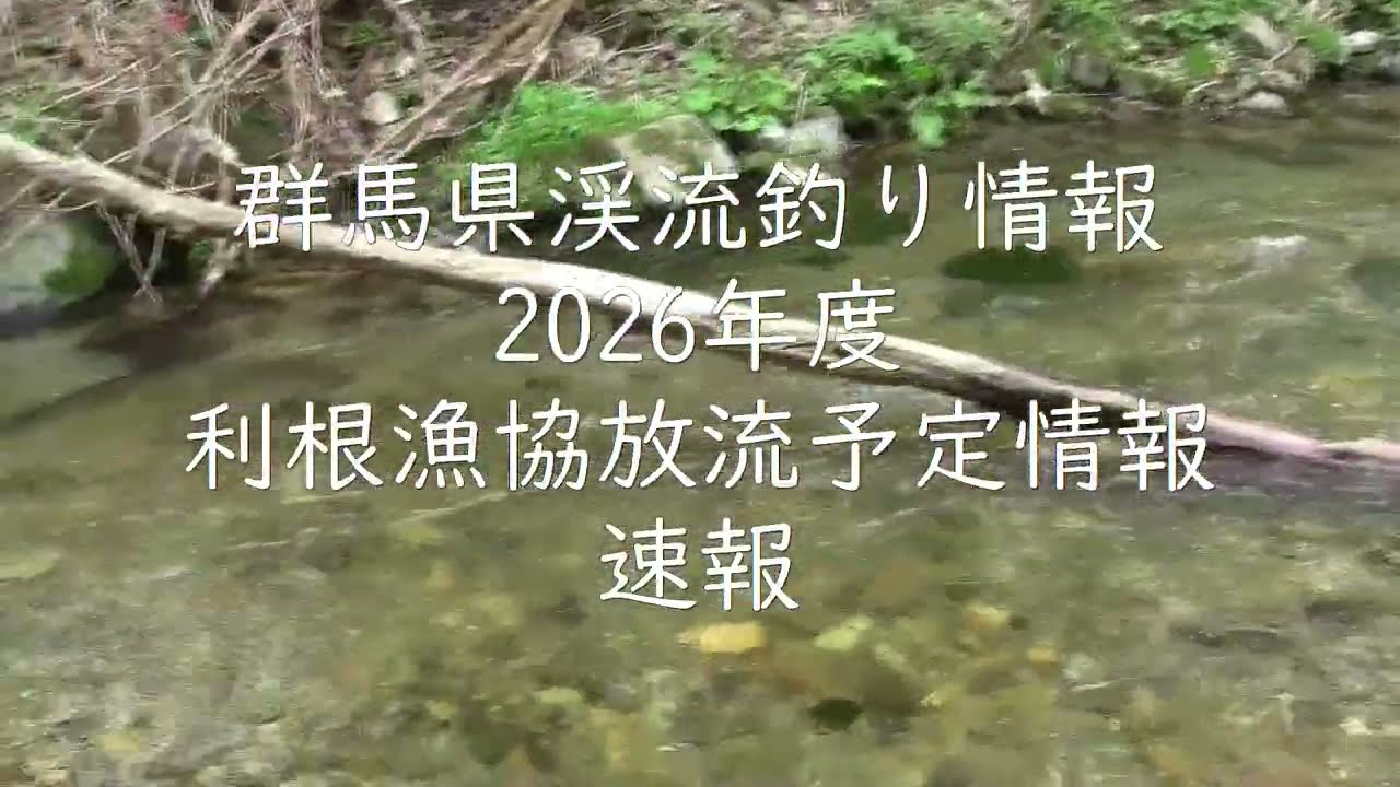 群馬県渓流釣り情報　2026年度　放流予定情報　速報