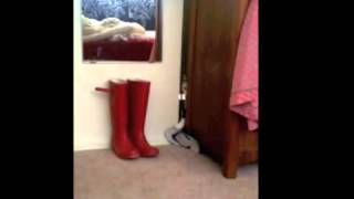 Mimi the Cat Steals Flip Flops by Georgia Hardstark 7,047 views 8 years ago 37 seconds
