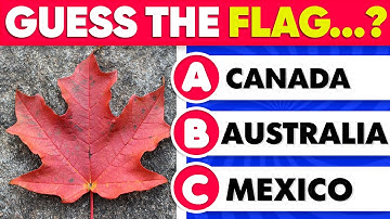Guess the Flag! 🌐| Epic Global Flag Quiz | Are You a True Geography Genius? 🚩