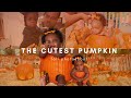 Our Baby in a Pumpkin Photoshoot | DIY | Fall Photoshoot Magic 🎃🍂