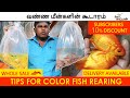 கலர் மீன்களின் மொத்தவிலை வியாபாரம் || Color Fish Whole Sale Shop || Cheap And Best || Oor Naattan