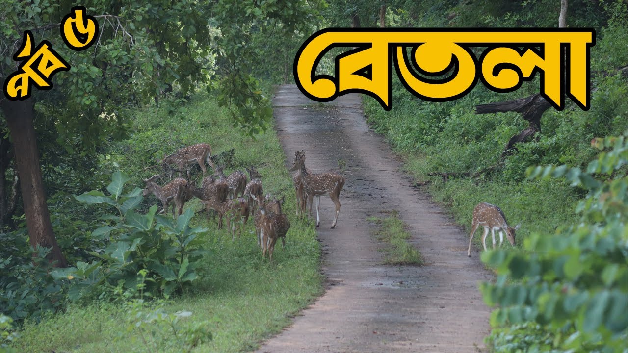 Betla National Park Jungle Safari Palamu Fort betla-national-park-jungle-safari-palamu-fort