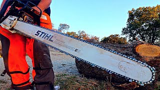 36" Bar on a Stihl MS 500i - Speed Test and Review
