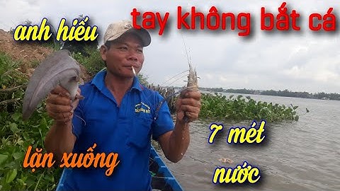 Vua bắt cá tay không ,sông tử thần vàm nao " Nguyễn Năm TV "