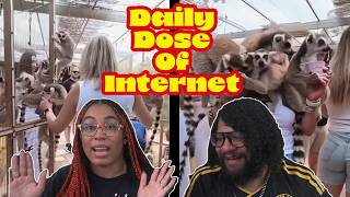 Infinite Lemur Glitch! | Daily Dose Of Internet Reaction