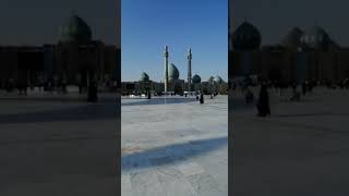 ياصاحب الزمان أدركنا