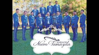 Video thumbnail of "Mariachi Nuevo Tamazula 12Cd-Amar Y Vivir (2017)"