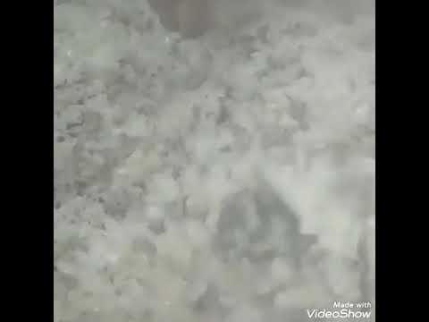 أحلى شي أجواء الفرح مع طبخ سماقية سهرة العريس