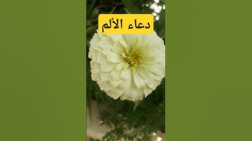 دعاء الألم#اذكار_المساء #اكسبلور #دعاء_الرزق #تيك_توك #اذكار_الصباح #أذكارالنوم #لايك
