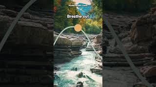 Guided Breathing for HRV | 1:1 Ratio | 5 Breaths Per Minute