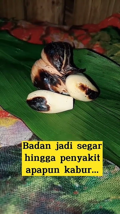 Badan Lemas Kembali Segar