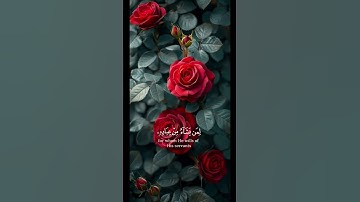 #سورة_العنكبوت #اكسبلور #الامارات #لايك #الجزائر #صباح_الخير #السعودية #تيك_توك #حالات_واتس #ترند