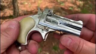 22lr Derringer (DAVIS INDUSTRIES D-22)