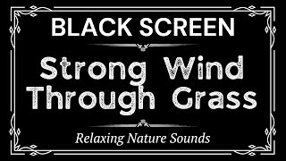 Strong Wind Through Grass Sounds for 10 Hours | Relaxing Nature Sounds | Black Screen