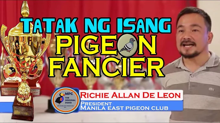 TATAK NG ISANG PIGEON FANCIER PRES: RICHIE ALLAN D...