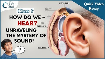 Class 9 Sound | Science Olympiad | CREST Olympiads